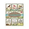EeBoo Counting Birds Wall Cards (1-10) Mobiles, Playmats & Nursery Items
