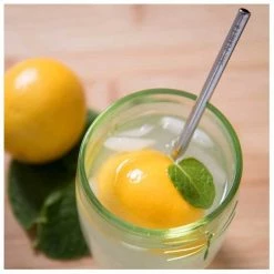 Save Planet A Stainless Steel Short Straws (6pk) Last Chance - Final Few