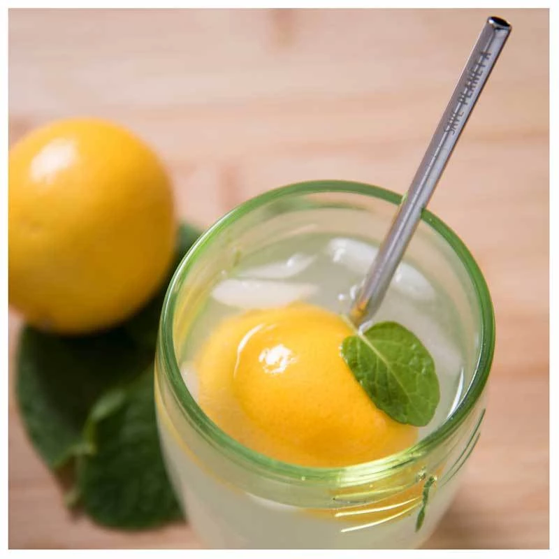 Save Planet A Stainless Steel Short Straws (6pk) Last Chance - Final Few