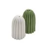 Ceramic Cactus Salt & Pepper Shakers