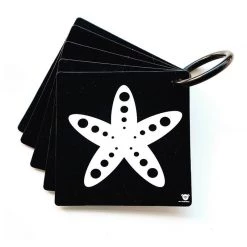 My Family Book My Stroller Cards Ocean