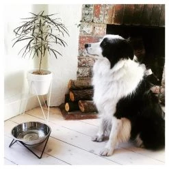 Bendo Luxe Woof Dog Bowl - Chrome & Black