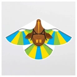 100% New Zealand Native Bird Kite - Kiwi