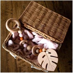 Funny Bunny Kids Restocked Luxury Silicone & Wood Teether/Play Toy - Blush Round