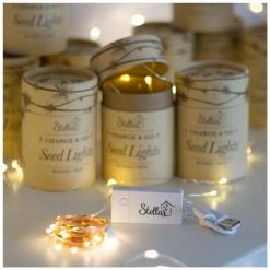 Stellar Haus Charge & Go Seed Lights โ Copper (3m)