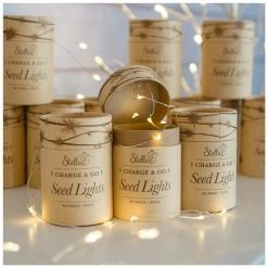 Stellar Haus Charge & Go Seed Lights โ Silver (3m) Metallics