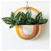 Urban Products Woodstock Rainbow Dot Wall Planter - Pink/Mustard VASES & PLANTERS