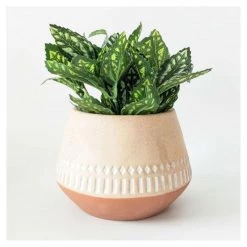 Urban Products Kyra Squat Planter - Terracotta (11.5cm) VASES & PLANTERS