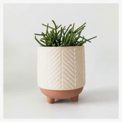 Urban Products Kyra Planter With Legs - Terracotta (12cm)