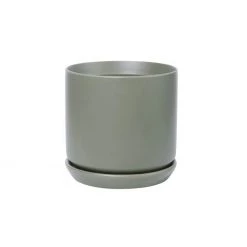 Potted Oslo Planter - Sage Restocked
