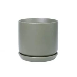 Potted Oslo Planter - Sage Restocked