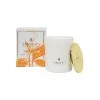 Amoura Luxury Fragrant Candle - Tangerine & Peach Andles