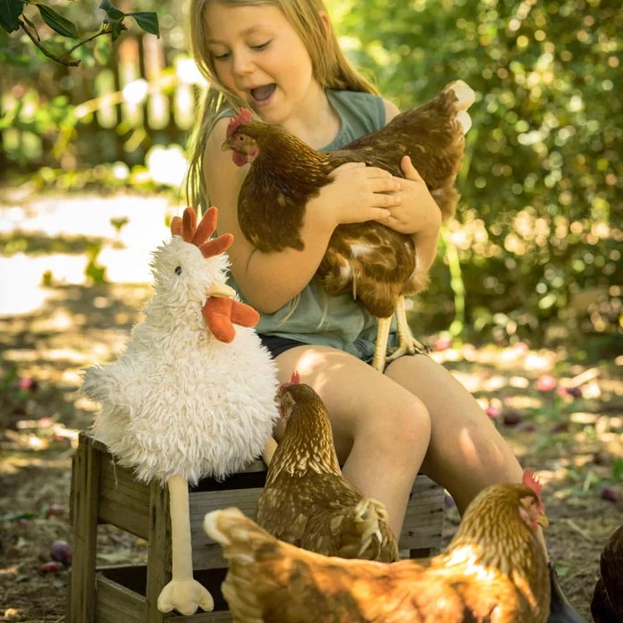 Nana Huchy Roy Rooster NEW ARRIVALS