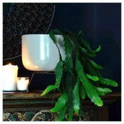 Roam & Loom Large Grey Planter & Stand (24cm) VASES & PLANTERS