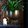 Roam & Loom Large Bronze Planter & Stand (24cm)