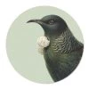 100% New Zealand Hushed Green Tui Placemat Set/6