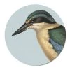 100% New Zealand Kiwiana Hushed Blue Kingfisher Placemat Set/6