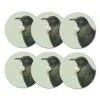 100% New Zealand Hushed Green Tui Coaster Set/6