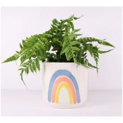 Urban Products Ayla Rainbow Planter - Medium
