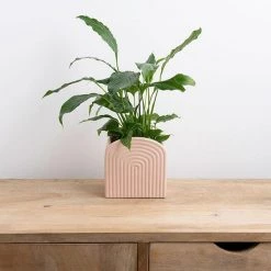 Potted VASES & PLANTERS Gatsby Planter - Peach
