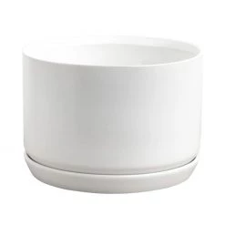 Potted Monochrome Oslo Planter Wide - White