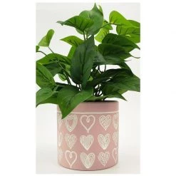 Urban Products Valentines Day Love Sketch Planter - Pink (13.5cm)