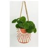 Urban Products Sunshine Hanging Planter Pink