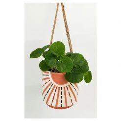 Urban Products Sunshine Hanging Planter Pink