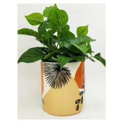Urban Products VASES & PLANTERS Willa Foliage Planter - Medium