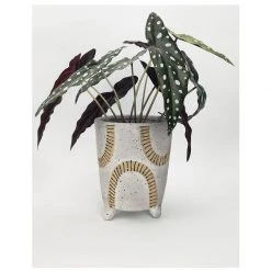 Urban Products Cyrus Planter - Large VASES & PLANTERS