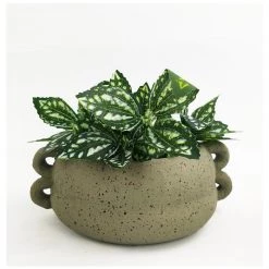 Urban Products VASES & PLANTERS Round Dayze Planter - Sage