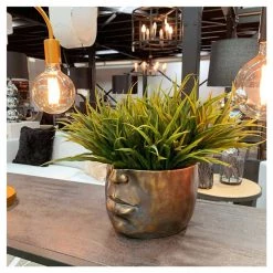 Le Forge Patina Face Planter