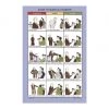 Samuel Lamont Guide To Marital Harmony Tea Towel Women's Gifts - Under $50