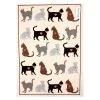 Hot House Luv Cats Tea Towel Restocked