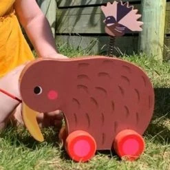 Moana Road Wheelie Kiwi Pull Along Toy Kiwiana