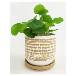 Urban Products River Geo Planter (11.5cm)