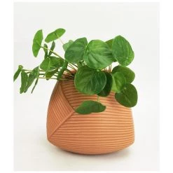 Urban Products Jocelyn Planter - Sherbert (15cm)