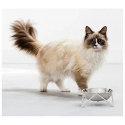 Bendo Home Accents Luxe Meow Cat Bowl - Chrome Bowl & Black Stand