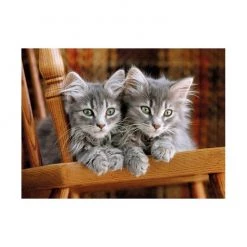 Clementoni Boardgames, Puzzles & Other Toys Two Grey Kittens Jigsaw Puzzle (500pc)