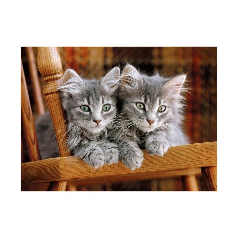 Clementoni Boardgames, Puzzles & Other Toys Two Grey Kittens Jigsaw Puzzle (500pc)
