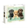 Clementoni Three Labs Jigsaw Puzzle (1000pc)