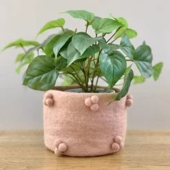 Sheepish Design NZ Wool Bobble Pot - Blush