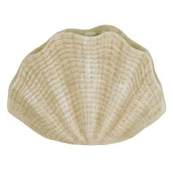 Amalfi Seashell Vase