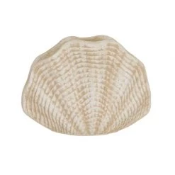 Amalfi Seashell Vase