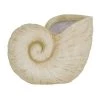 Amalfi Cove Shell Vase NEW ARRIVALS
