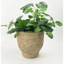 Urban Products VASES & PLANTERS Nia Rainbow Planter