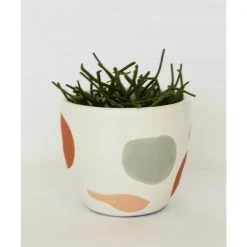 Urban Products VASES & PLANTERS Amara Planter (11cm)