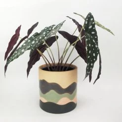 Urban Products Adele Planter - Grey & Green (15cm) VASES & PLANTERS