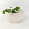 Urban Products Eva Shell Planter