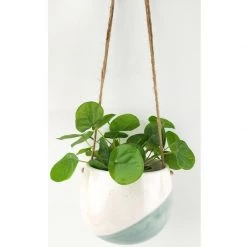Urban Products NEW ARRIVALS Avery Hanging Planter - Medium Blue